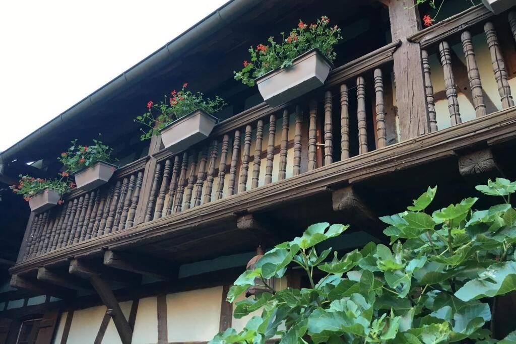Gite Alsacien Eckwersheim Esterno foto